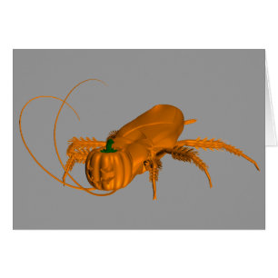 Orange Cockroach Cards
