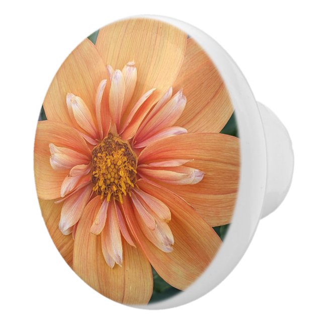 Orange Collarette Dahlia Floral Ceramic Knob (Right)