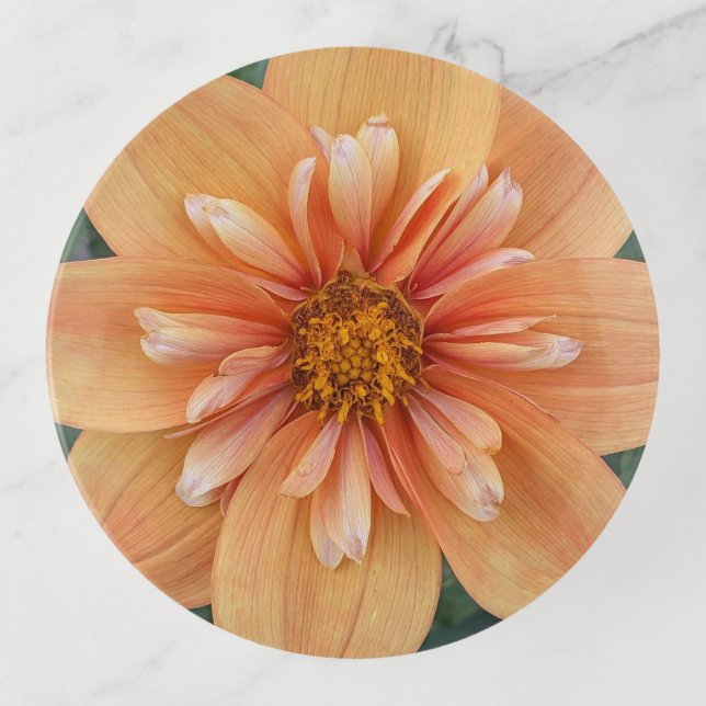 Orange Collarette Dahlia Floral Trinket Tray (Front)