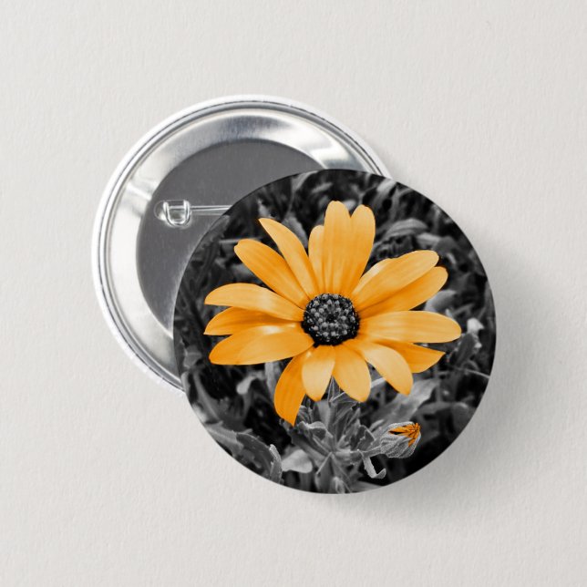 Orange Color Splash African Daisy Photograph Pinback Button (Front & Back)