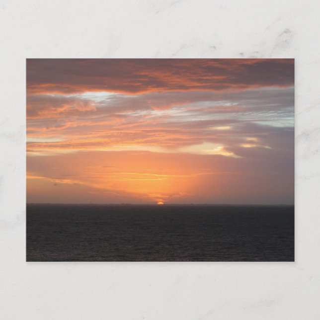 Orange Colored Sky Postcard (Front)