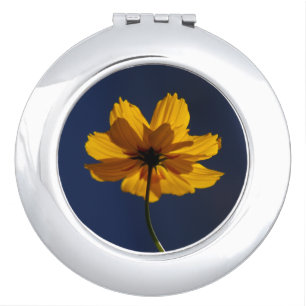 Orange Coreopsis Compact Mirror