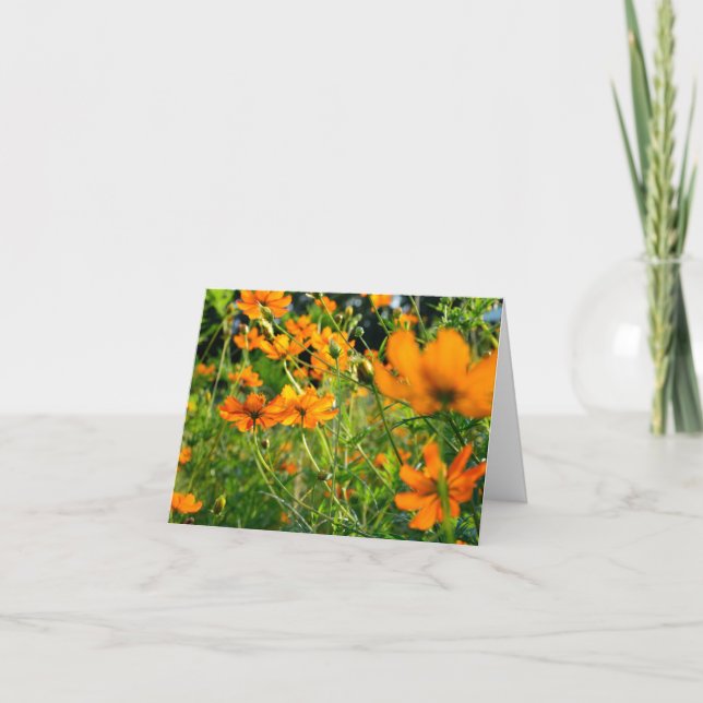 Orange Cosmos Flowers  Card (Front)