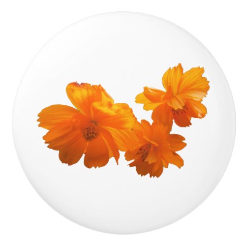 Orange Cosmos Flowers on White Ceramic Knob