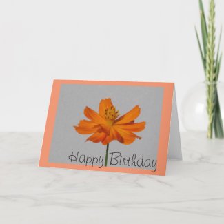 Orange Cosmos Happy Birthday Greeting Card 