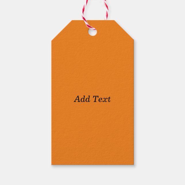 Orange Create Your Own Add Text Custom Gift Tags (Front)