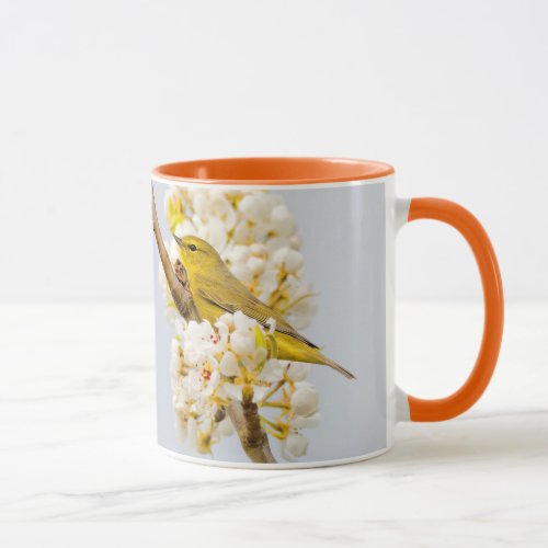 Orange_Crowned Warbler Amid the Cherry Blossoms Mug