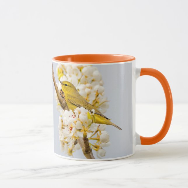 Orange-Crowned Warbler Amid the Cherry Blossoms Mug (Right)