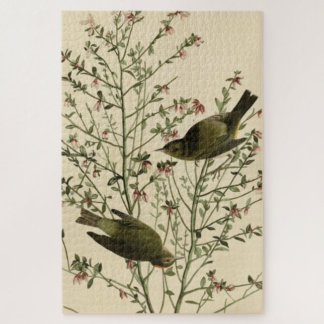 Orange-crowned Warbler, Audubon's Birds of America Jigsaw Puzzle (Vertical)