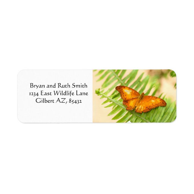 Orange Cruiser Butterfly Label (Front)