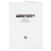 Orange Dahlia (Back)