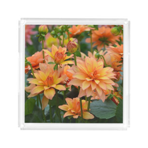 Orange dahlias acrylic tray