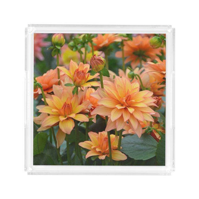 Orange dahlias acrylic tray (Front)