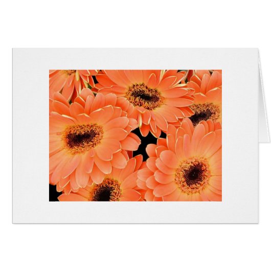 Orange Dahlias Cards (Front Horizontal)