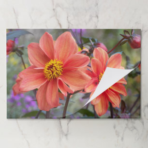 Orange Dahlias Floral Paper Placemats