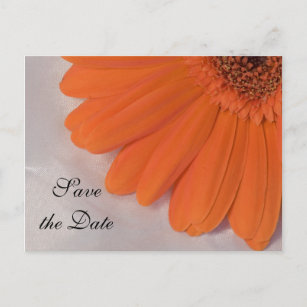 Orange Daisy and White Satin Wedding Save the Date Announcement Postcard