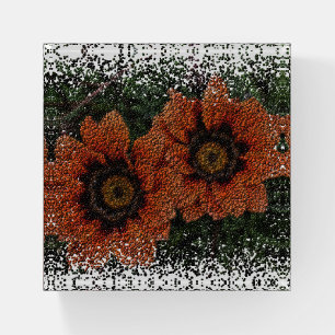 Orange Daisy Balls Paperweight