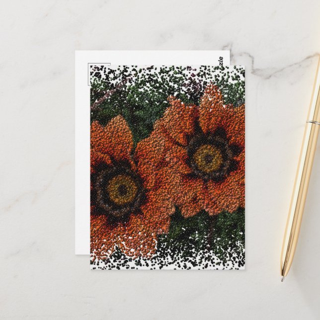 Orange Daisy Balls Postcard (Front/Back In Situ)