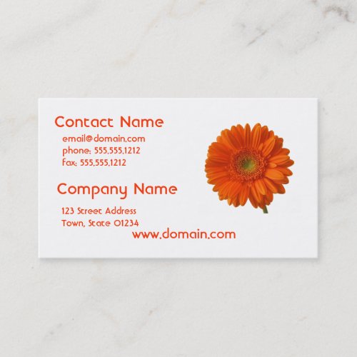 Orange Daisy Business Card