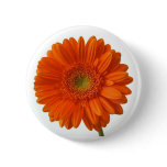 Orange Daisy Button
