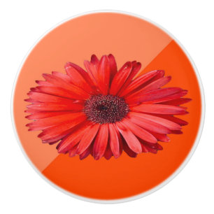 Orange Daisy Colorblock Ceramic Knob