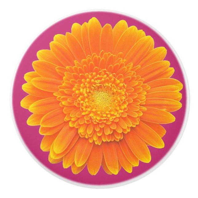 orange daisy door knob (Front)