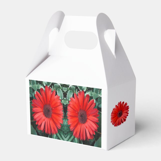 Orange Daisy Favor Box (Front Side)
