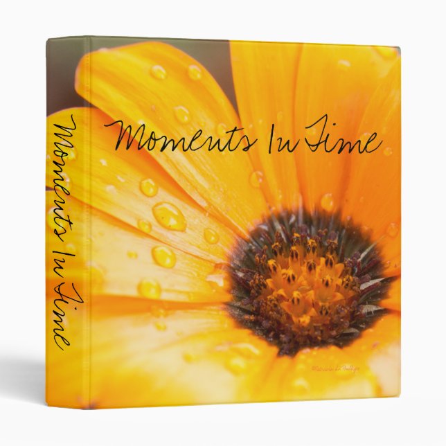 Orange Daisy Floral  Close -Up Photograph Binder (Front/Spine)