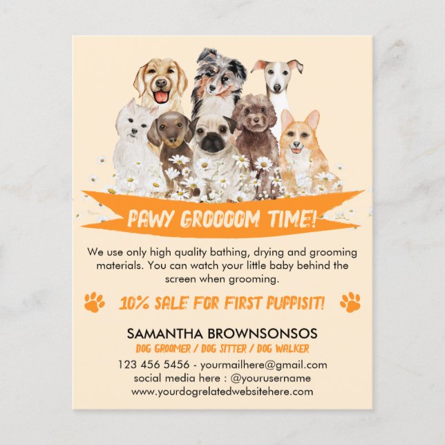 Orange Daisy Floral Design for Dog Groomers Flyer (Front)