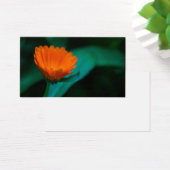 Orange daisy flower (Desk)