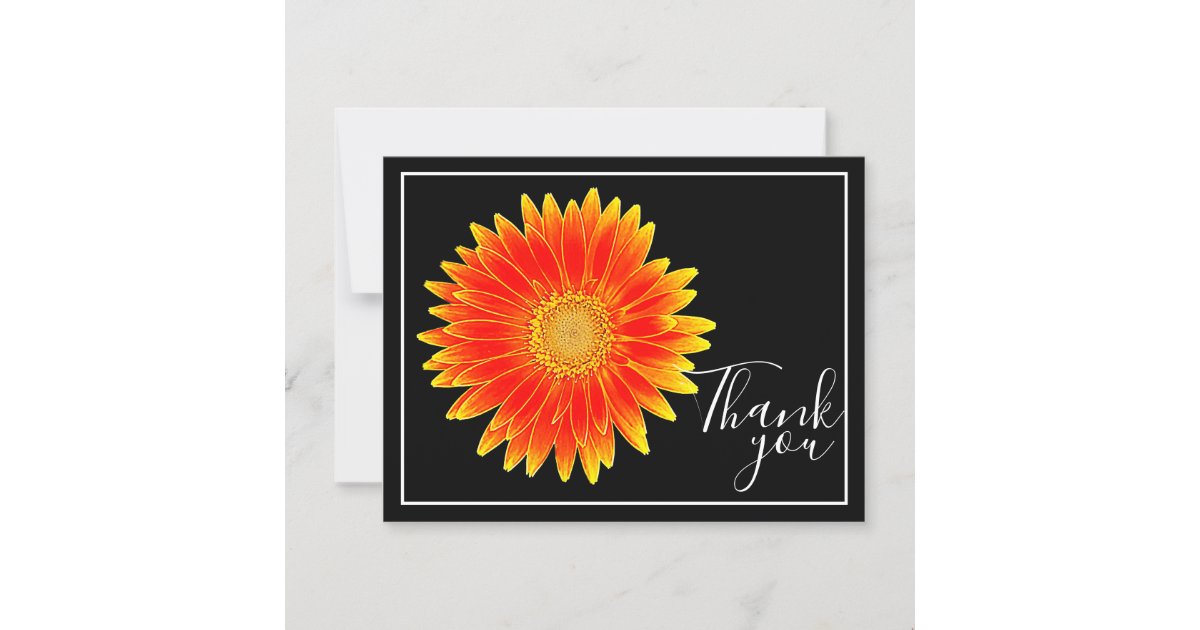 Orange Daisy Flower Black Background Thank You Postcard | Zazzle