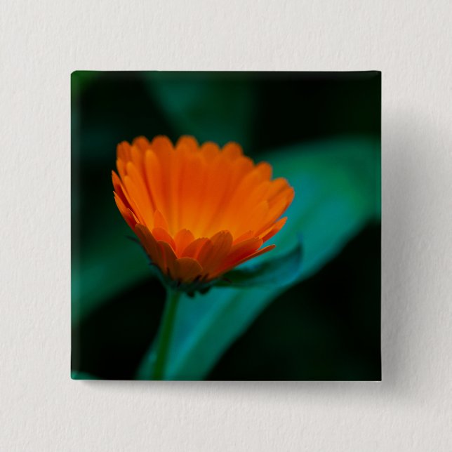 Orange daisy flower button (Front)