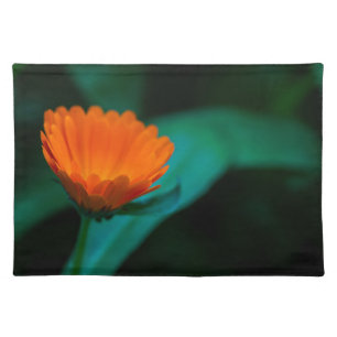 Orange daisy flower cloth placemat