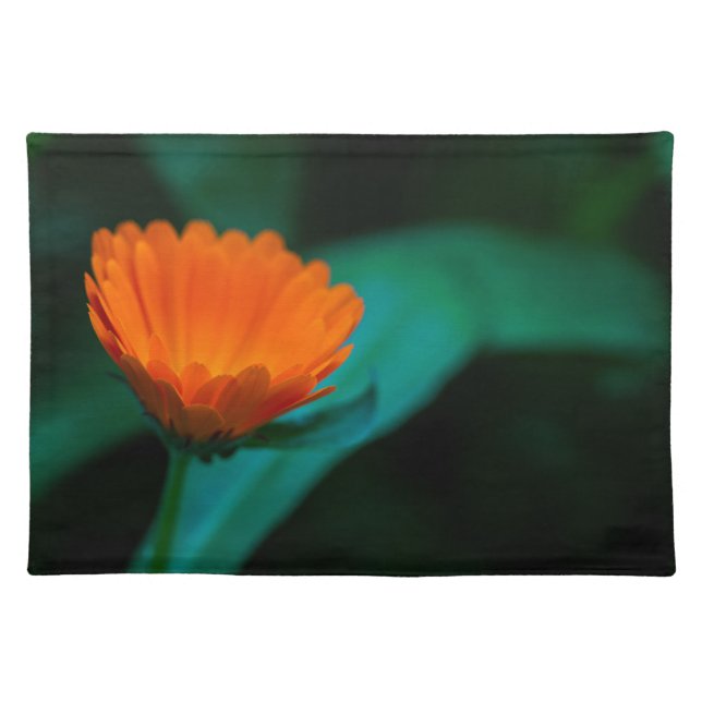 Orange daisy flower cloth placemat (Front)