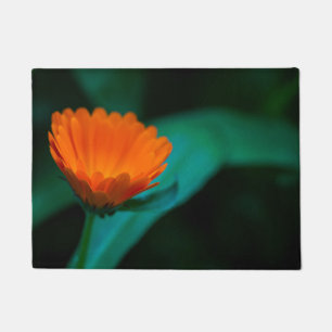 Orange daisy flower doormat