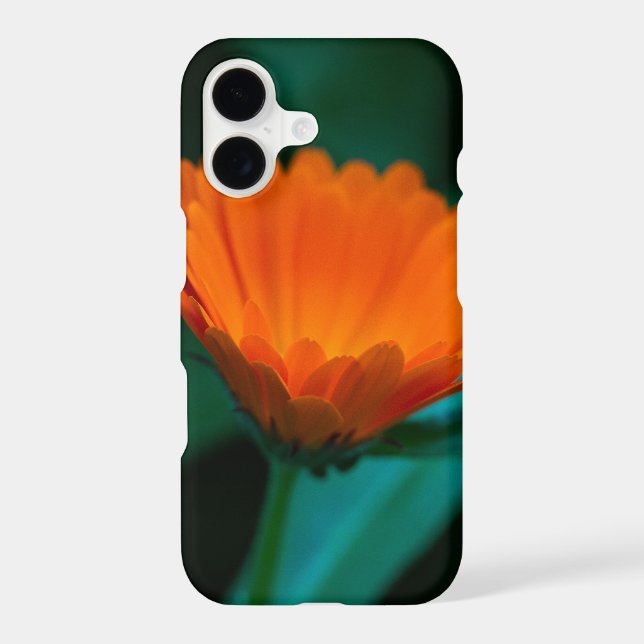 Orange daisy flower iPhone case (Back)