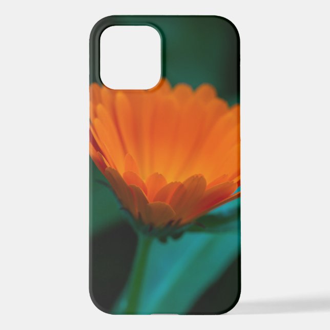 Orange daisy flower iPhone case (Back)