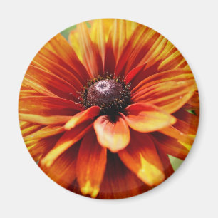 Orange Daisy Flower Magnet
