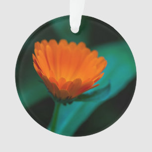 Orange daisy flower ornament