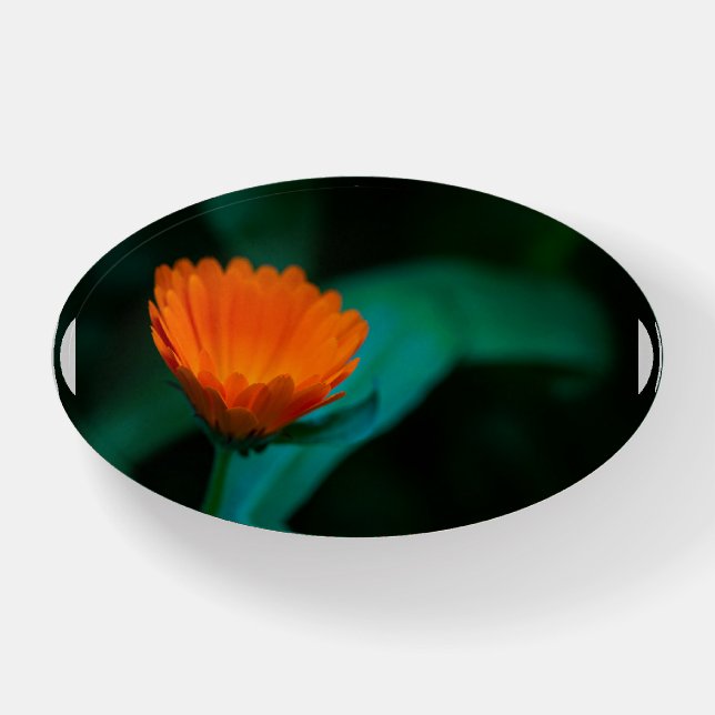 Orange daisy flower paperweight (Front)