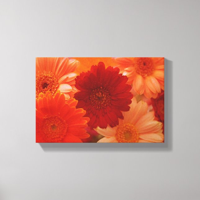 Orange Daisy Flower Photo Canvas Wall Art Print (Front)
