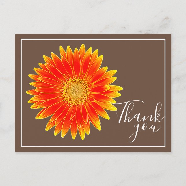 Orange Daisy Flower With Brown Backdrop Thank You Postcard (Front)