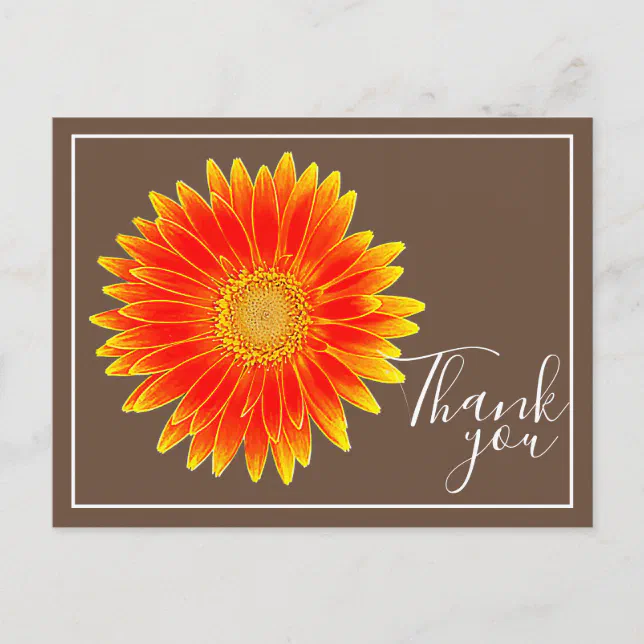 Orange Daisy Flower With Brown Backdrop Thank You Postcard | Zazzle