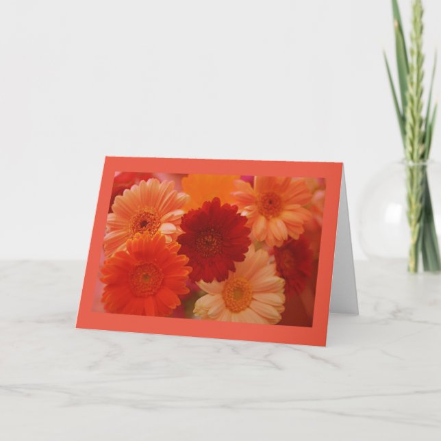 Orange Daisy Flowers Photo Greeting or Note Cards (Front)