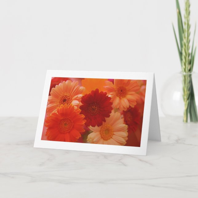 Orange Daisy Flowers Photo Note or Greeting Cards (Front)