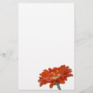 Orange Daisy Gerbera Flower Stationery