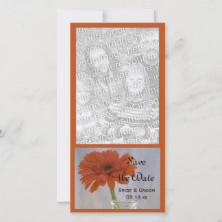 Orange Daisy in Vase Wedding Save the Date