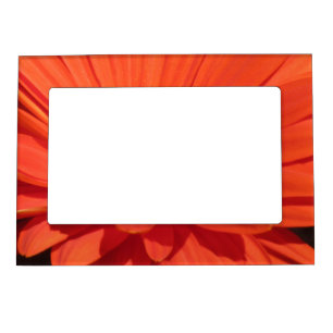 Orange Daisy Magnetic Frame