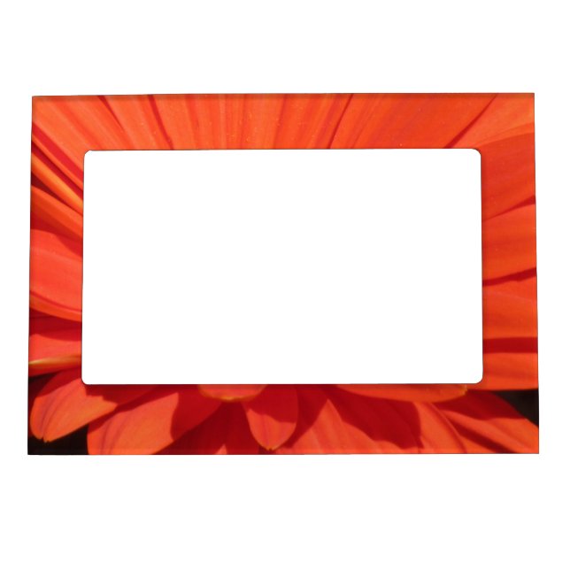 Orange Daisy Magnetic Frame (Front)