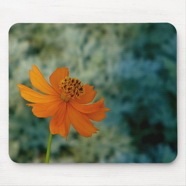 Orange Daisy  Mouse Pad (Front)